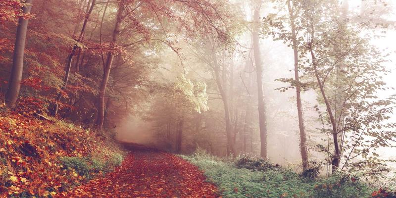 0954U12：连接本地生活服务与资讯的数字新门户