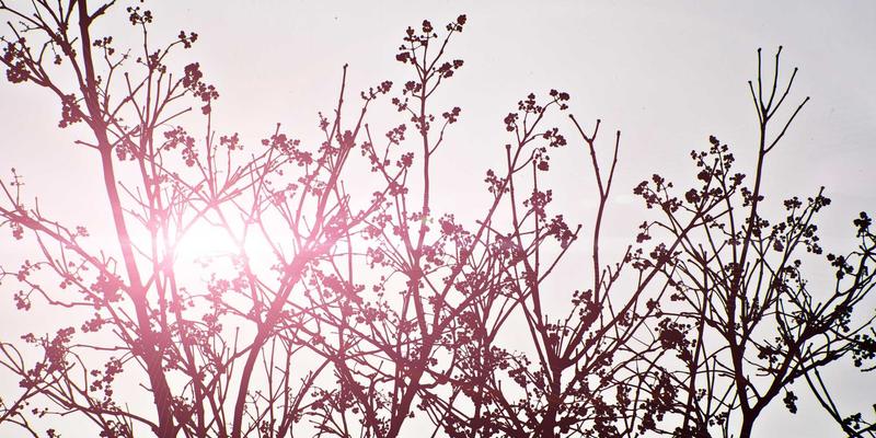 0954U19社区综合信息指南：构建数字时代的邻里连接新生态