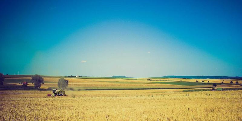 0954U33：连接本地资讯与生活服务的数字新体验