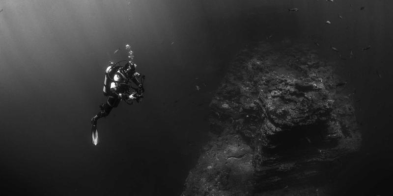 0954U36:一站式综合信息与便民服务平台深度解析