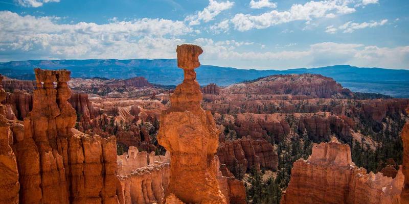 0954U39：探索便民服务新形态，打造综合信息枢纽