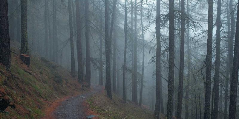 0954U44：连接本地资讯与生活服务的综合信息枢纽