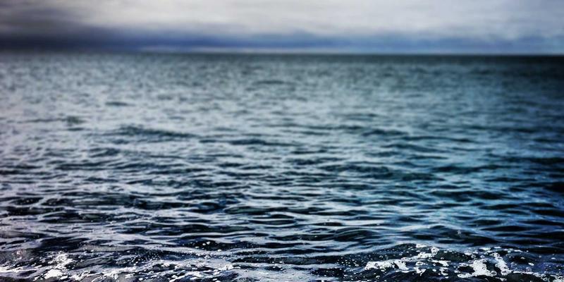 0954U51:一站式综合信息与便民服务平台全解析