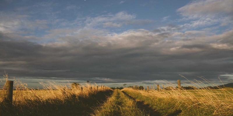 0954U62:解码社区信息新形态,打造智慧生活服务生态圈