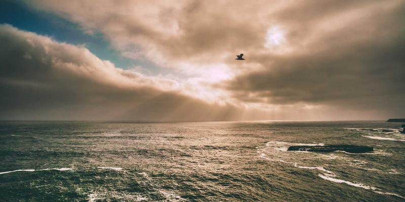 0954U98：连接本地资讯与生活服务的数字新纽带