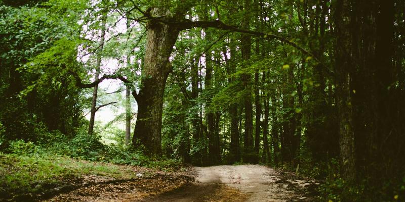 0954U处理器深度解析：对比同代i5与i7，为何是商务本性价比之选？