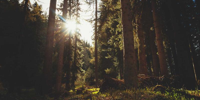 0954U平台虚拟机性能实测：如何打造高效便民服务与社区信息处理中心