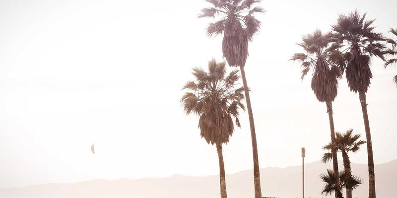 0954U推荐：一站式社区信息与生活服务平台，打造便捷数字生活