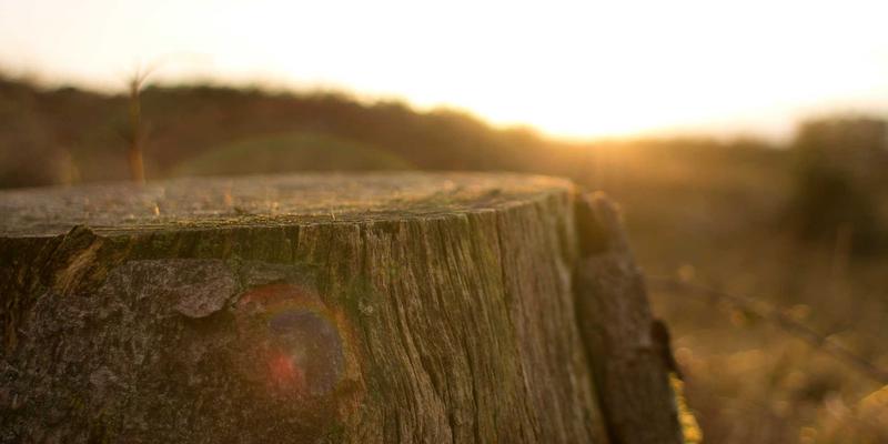 0954U笔记本屏幕素质深度解析：色域、亮度与护眼模式全体验 | 本地资讯综合信息