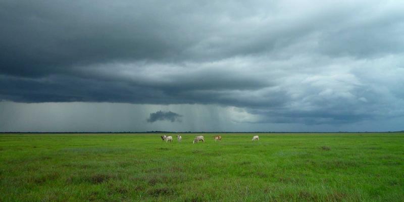 0954U笔记本散热改造与清灰全攻略：社区便民服务指南，让高性能持久释放
