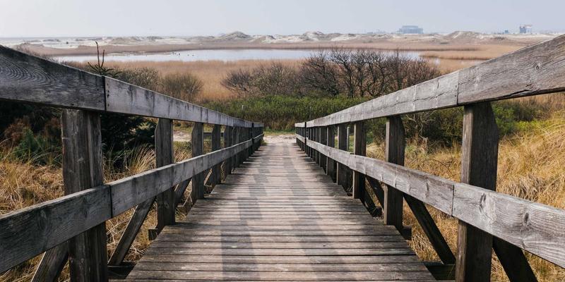 便民服务新体验：用0954U轻薄本玩转经典游戏，生活服务与娱乐兼得