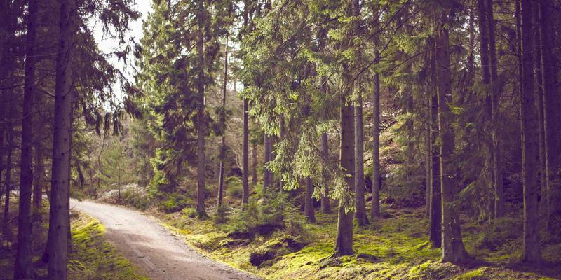 利用0954U低功耗优势，打造24小时开机的家庭轻量级NAS与媒体服务器 | 本地资讯与便民服务新方案