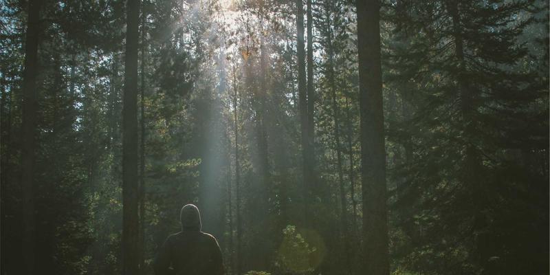 利用0954U笔记本搭建家庭智能控制中心：本地化部署的兼容性与功耗全解析