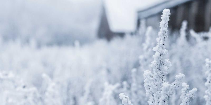 实测有效！搭载0954U处理器的笔记本如何优化设置以大幅延长电池续航？社区信息综合指南