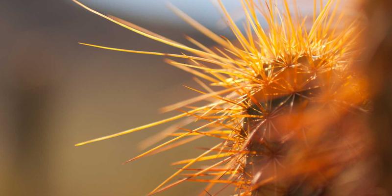 生活服务新选择：0954U轻薄本外接显卡坞实战，性能提升与兼容性全解析