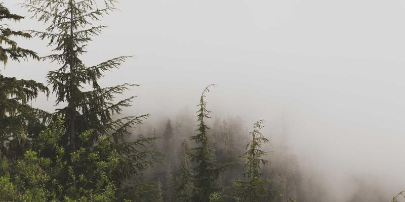 社区信息新发现：搭载0954U的轻薄本如何重塑生活服务与便民体验？